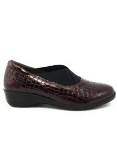 Lizard bordo