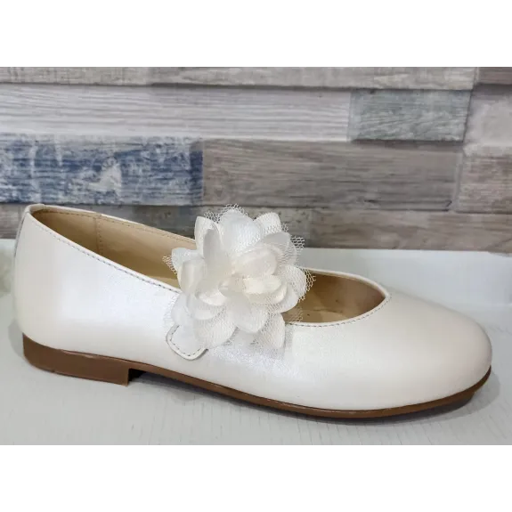 Bambi nacarado salinas