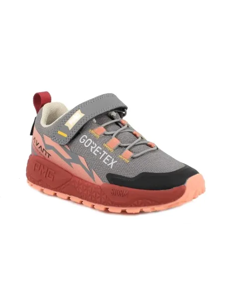 Storm salmon