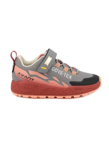 Storm salmon