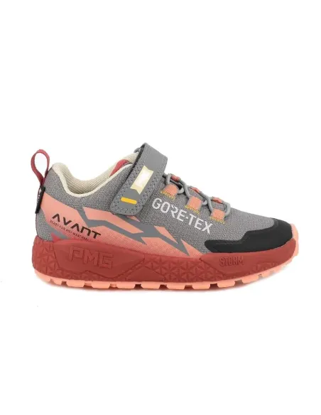 Storm salmon